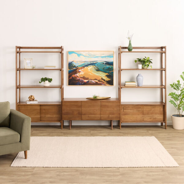 Dane Modular 48 Inch Media Wall System with Cabinet Bookshelves 3 Piece Set