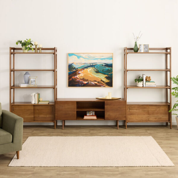 Dane Modular 60 Inch Media Wall System with Cabinet Bookshelves 3 Piece Set